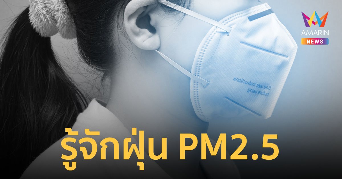 ฝุ่น PM2.5 คืออะไร เกิดจากอะไร ส่งผลกระทบต่อสุขภาพอย่างไร และวิธีการป้องกันดูแลตัวเอง
