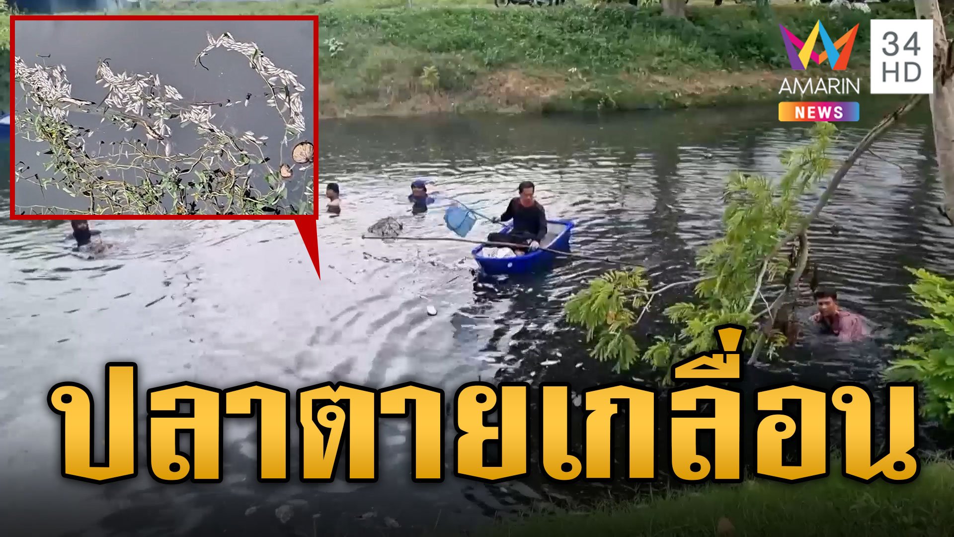 หมอคางดำก็ไม่รอด! วัยรุ่นมือบอนวางยาพิษทำปลาตายเกลื่อน | ข่าวอรุณอมรินทร์ | 1 ส.ค. 67 | AMARIN TVHD34