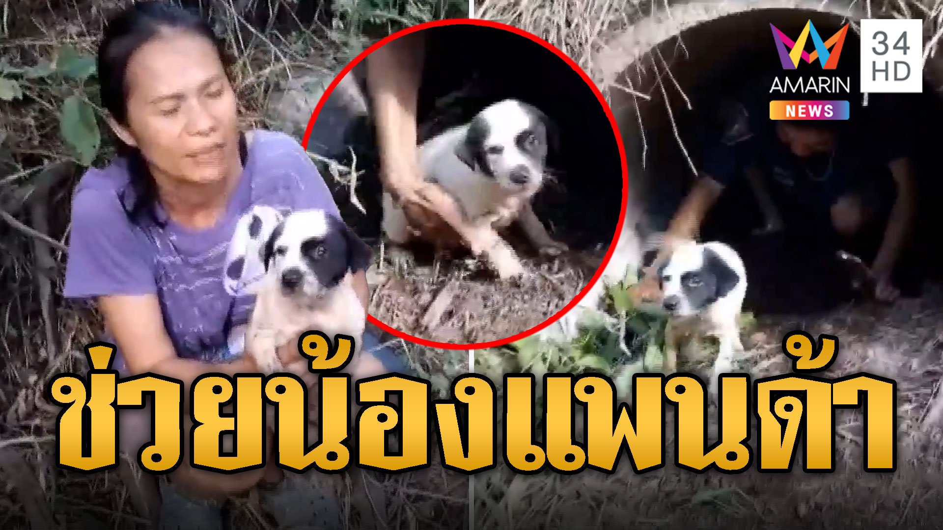 กู้ภัยใจดี มุดท่อช่วย 'น้องแพนด้า' หมา 2 เดือน | ข่าวอรุณอมรินทร์ | 9 ส.ค. 67 | AMARIN TVHD34