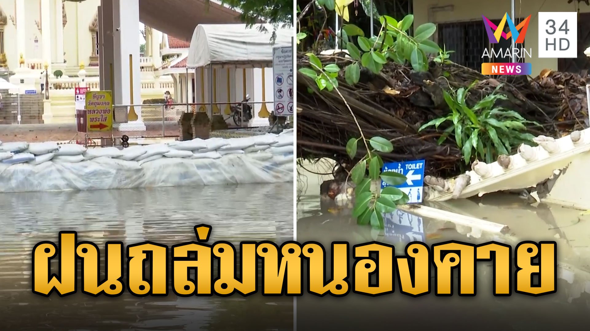 ฝนถล่มหนองคาย ต้นไม้ใหญ่โค่นล้มทับวัด น้ำโขงขึ้นสูง | ข่าวเที่ยงอมรินทร์ | 14 ก.ย. 67 | AMARIN TVHD34