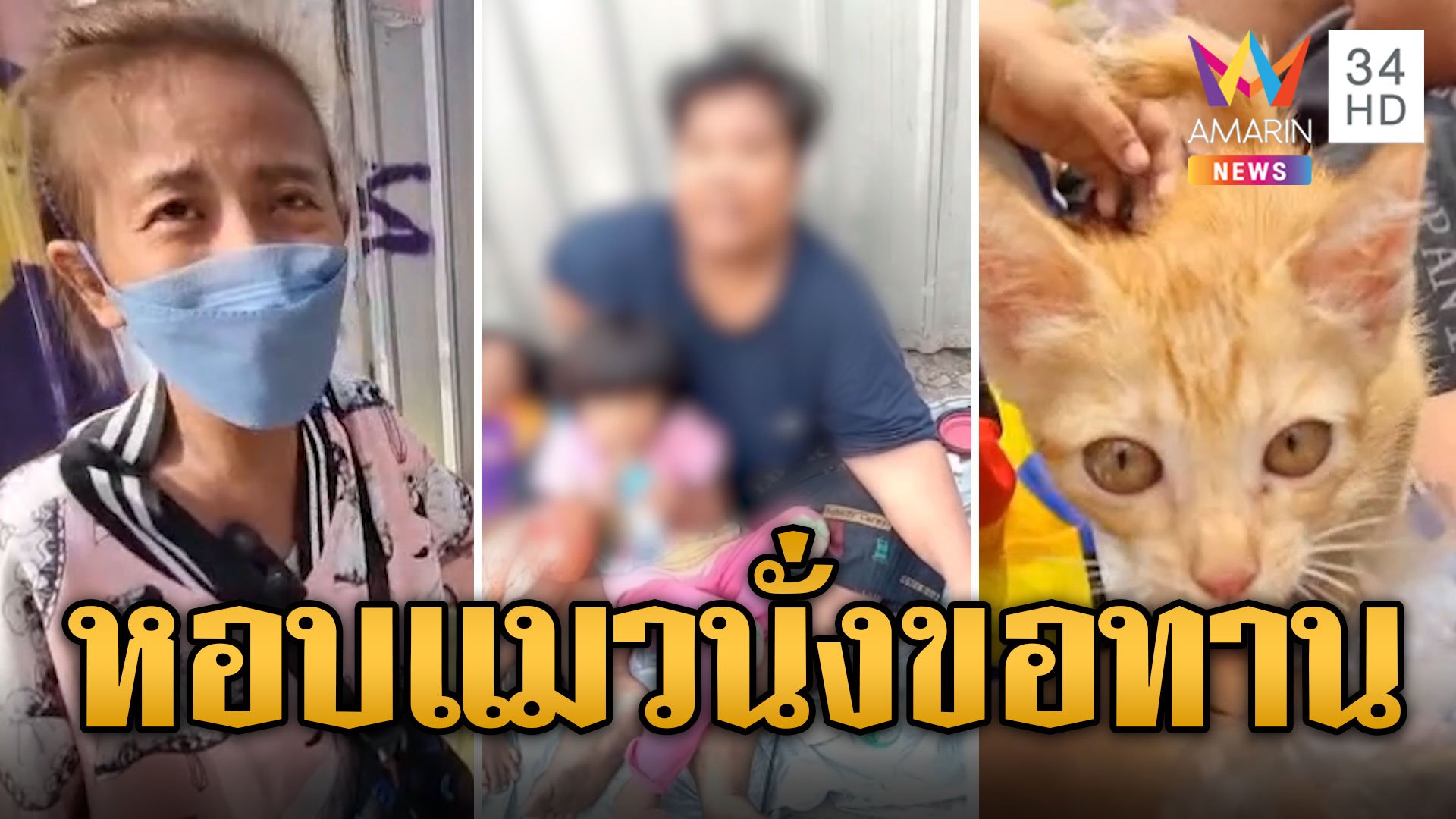 สะเทือนใจทาส! สาวหอบแมวมานั่งขอทาน รายได้เดือนละ 6 หมื่น | ข่าวอรุณอมรินทร์ | 12 พ.ค. 67 | AMARIN TVHD34