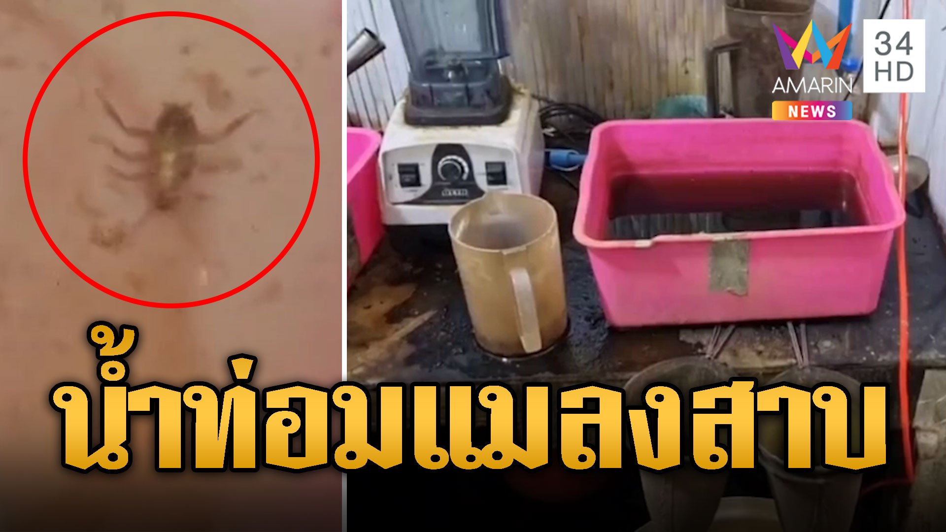 อ้วกแทบพุ่ง! บุกร้านขายน้ำท่อม เจอแมลงสาบ-หนูตายคาหม้อ  | ข่าวอรุณอมรินทร์ | 6 มิ.ย. 67 | AMARIN TVHD34