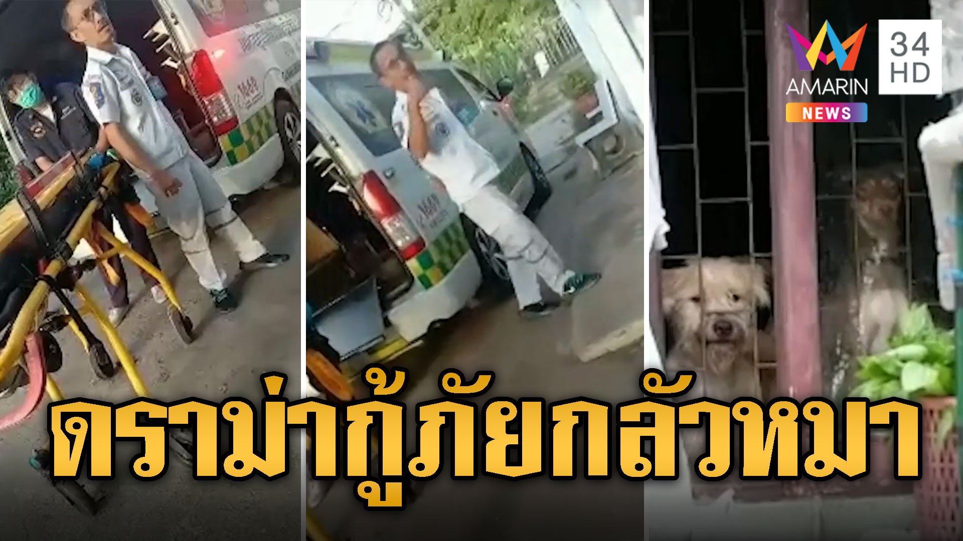 กู้ภัยกลัวหมา เจอดราม่าไม่กล้าช่วยผู้ป่วย | ข่าวอรุณอมรินทร์ | 7 มิ.ย. 67 | AMARIN TVHD34
