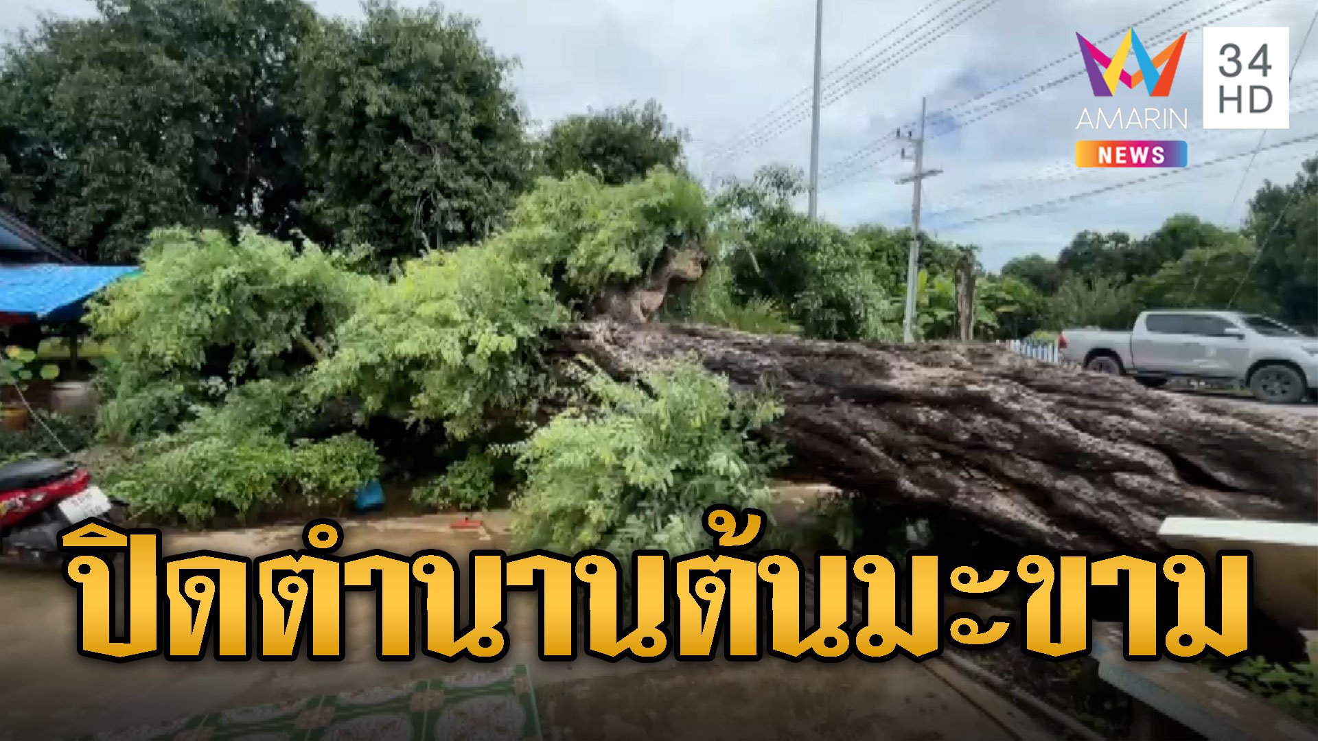 ปิดตำนานต้นมะขาม 200 ปี พายุพัดล้มถอดทั้งราก | ข่าวอรุณอมรินทร์ | 27 ก.ย. 67 | AMARIN TVHD34