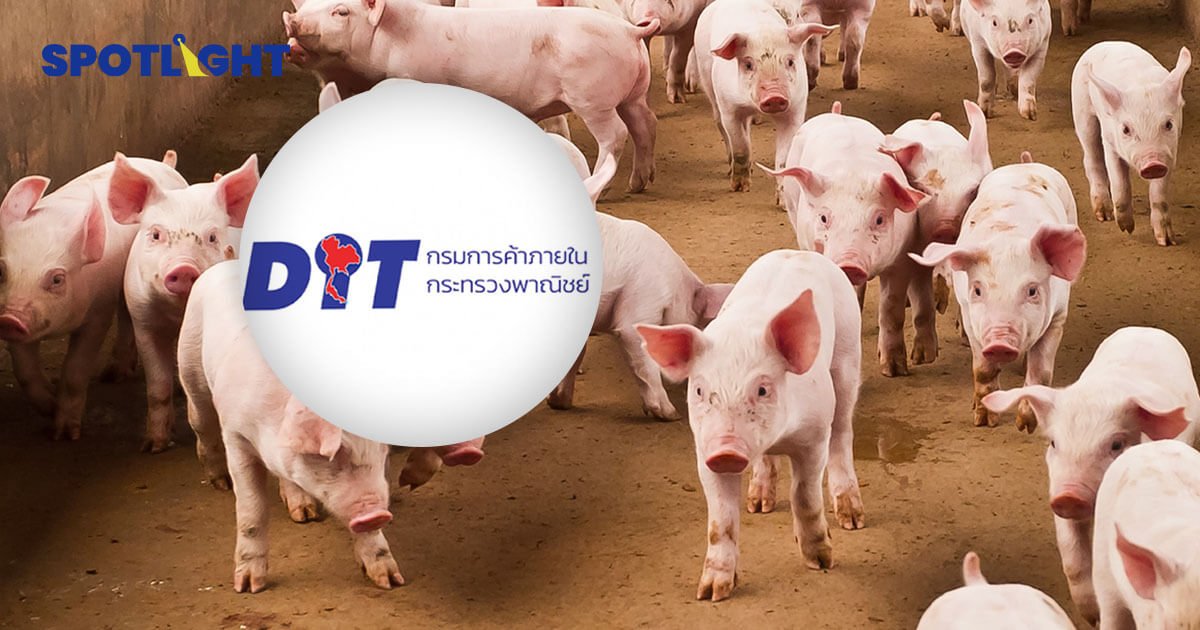 หมูล้นตลาด! กรมการค้าภายในเชิญชวนคนไทย ร่วมใจกินหมู ช่วยเกษตรกร