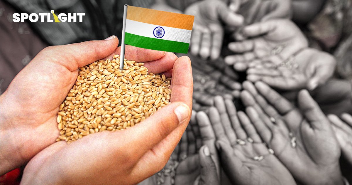 อินเดีย ประเทศส่งออกข้าวอันดับหนึ่งของโลก แต่คนในประเทศยังคง อดอยาก