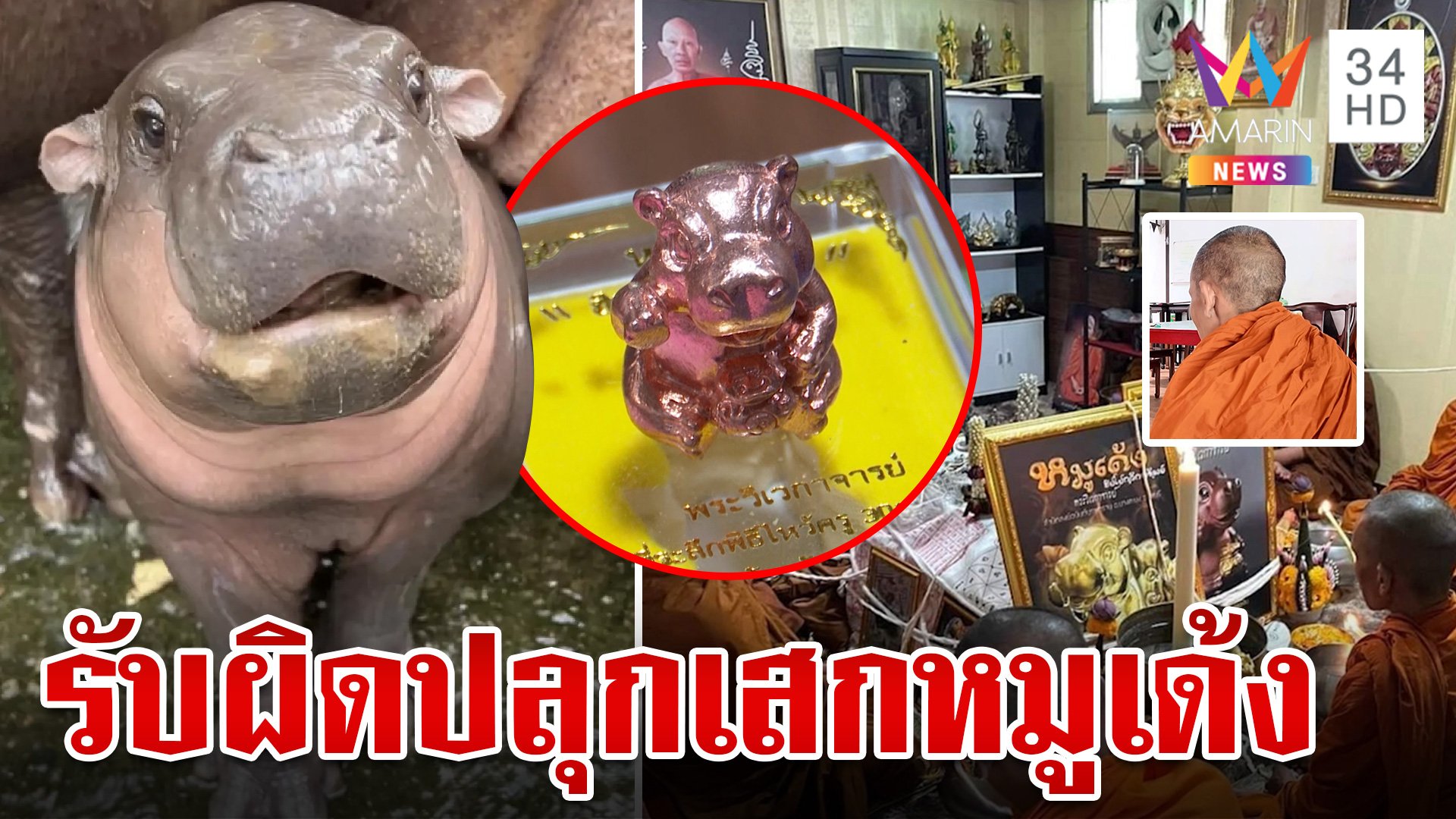 ขับ "พระอาจารย์ชิน" พ้นสำนักสงฆ์ เซ่นปลุกเสกหมูเด้ง | ทุบโต๊ะข่าว | 2 พ.ย. 67 | AMARIN TVHD34