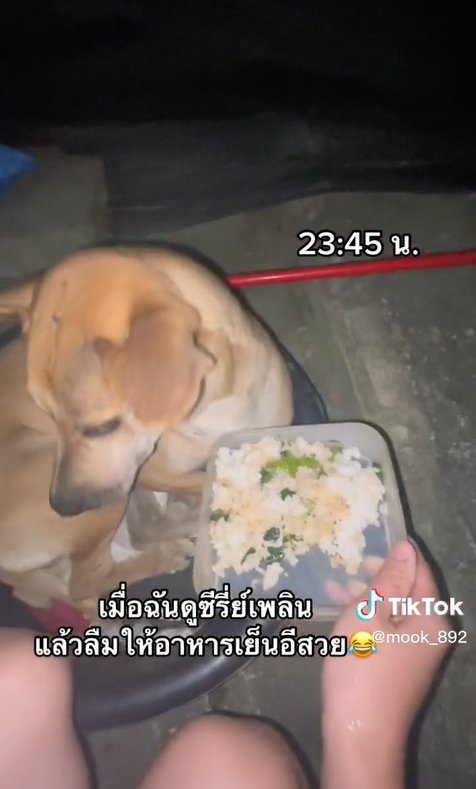ลืมให้ข้าว