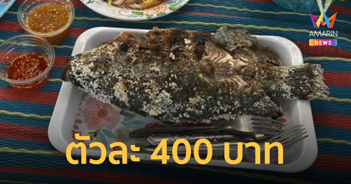 สงสัยอากาศร้อน! นทท.แทบช็อกกินปลาเผาตัวละ 400 บาท แทบสำลักออกทางเก่า