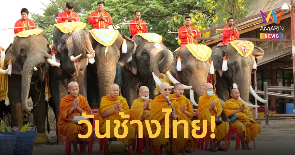 วันช้างไทย อยุธยานิมต์พระตักบาตร จัดเลี้ยงโต๊ะอาหารช้างกว่า 80 เชือก