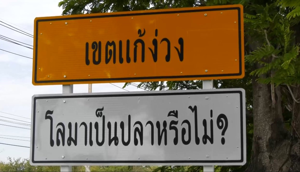เขตแก้ง่วง