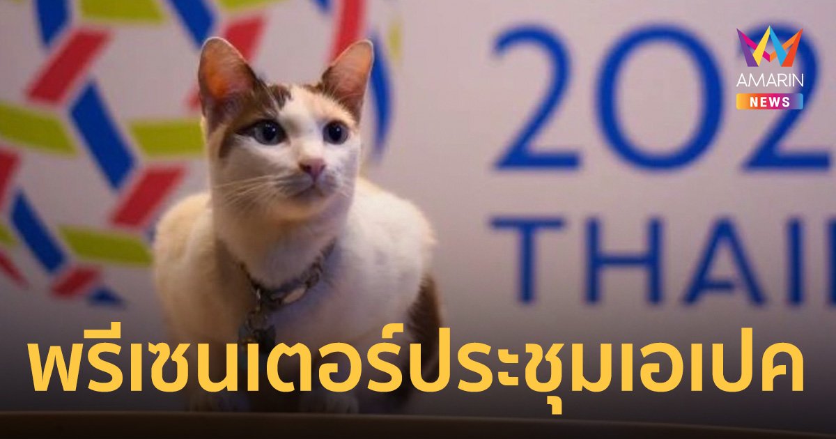 กระทรวงต่างประเทศ เปิดตัว "นวล" แมวพรีเซนเตอร์โปรโมตงานเอเปค 2022