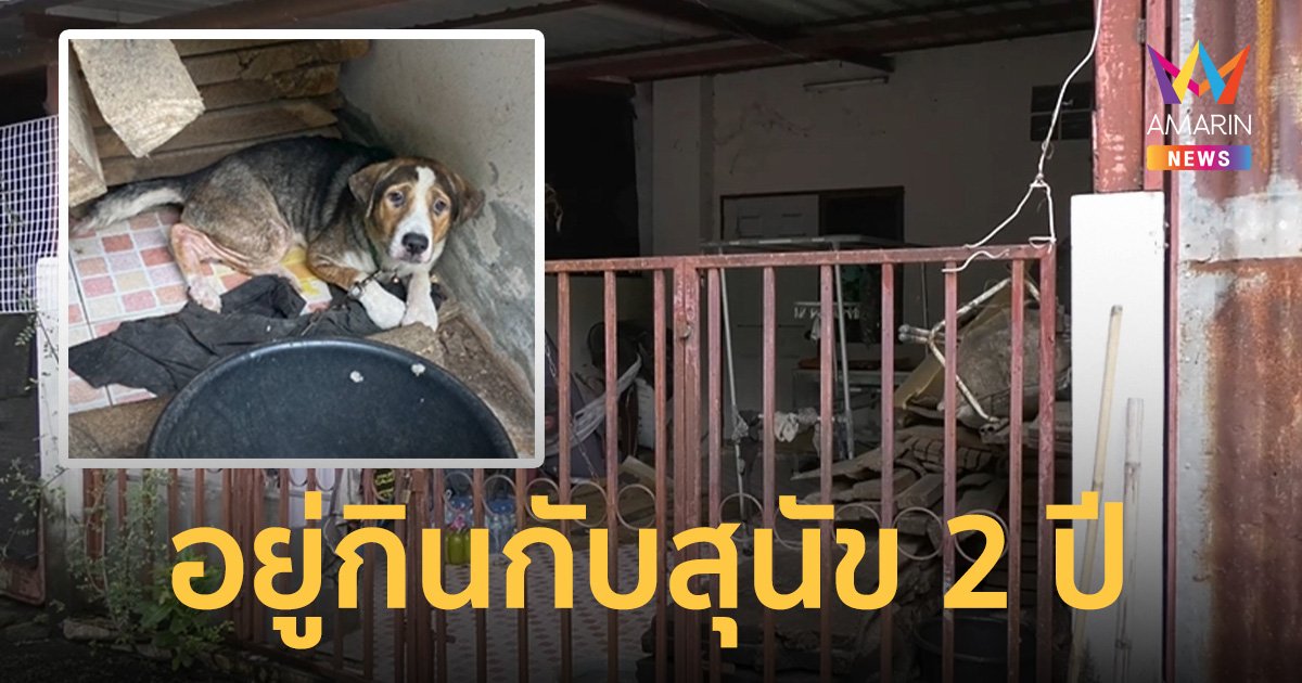 หญิงวัย 55 ถูกปล่อยทิ้งให้กิน-ถ่าย อยู่กับสุนัข นาน 2 ปี ไร้ญาติดูแล
