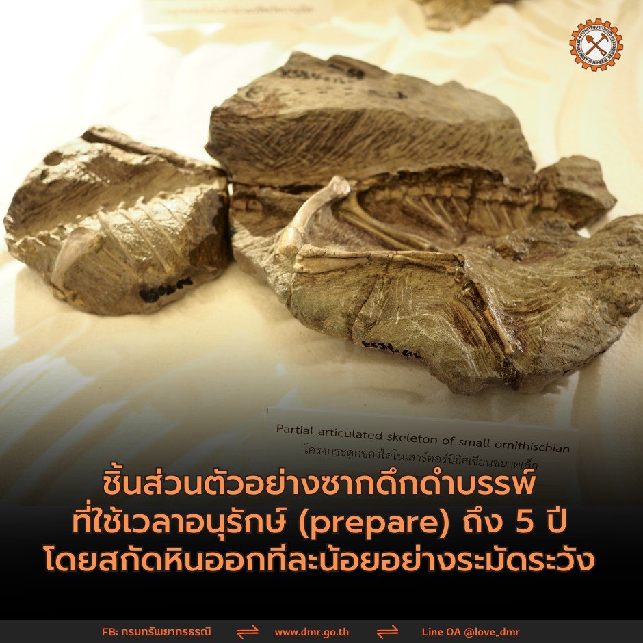 ไดโนเสาร์ชนิดใหม่
