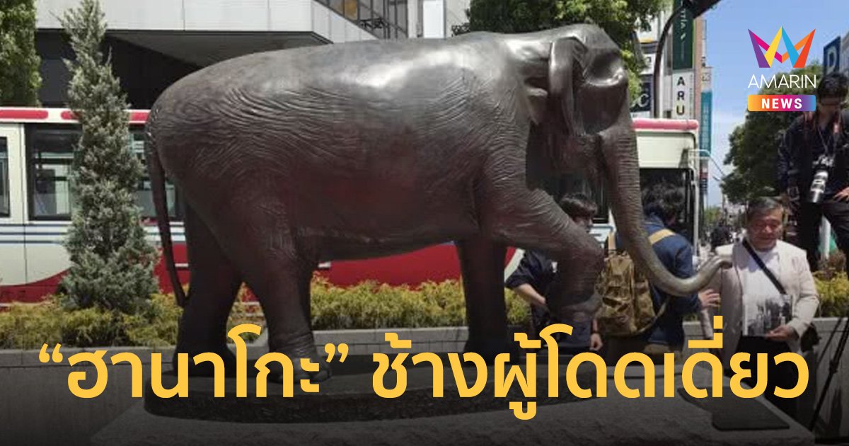 ฮานาโกะ ช้างไทยที่ต้องตายอย่างโดดเดี่ยวในญี่ปุ่น หลังเยียวยาเด็กกำพร้า
