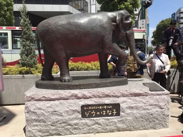 ช้างฮานาโกะ 