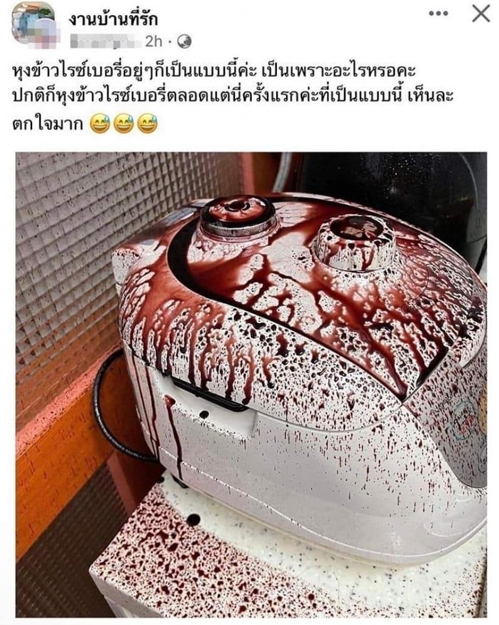 หุงข้าวไรซ์เบอรี