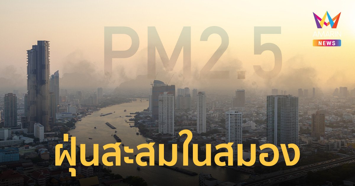 แพทย์ เผยพบ ฝุ่น PM 2.5 สะสมในสมองผ่านผนังโพรงจมูก เสี่ยงความจำเสื่อม