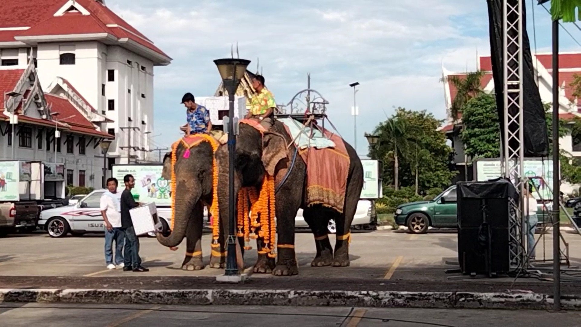 กกต. เมืองคอน จัดเต็ม !! นำช้าง 2 เชือก ขนหีบ–บัตรเลือกตั้ง