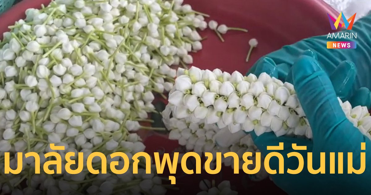 เทศกาล “วันแม่” ชาวสวนเร่งร้อยมาลัยดอกพุด ราคาถูกกว่ามะลิ