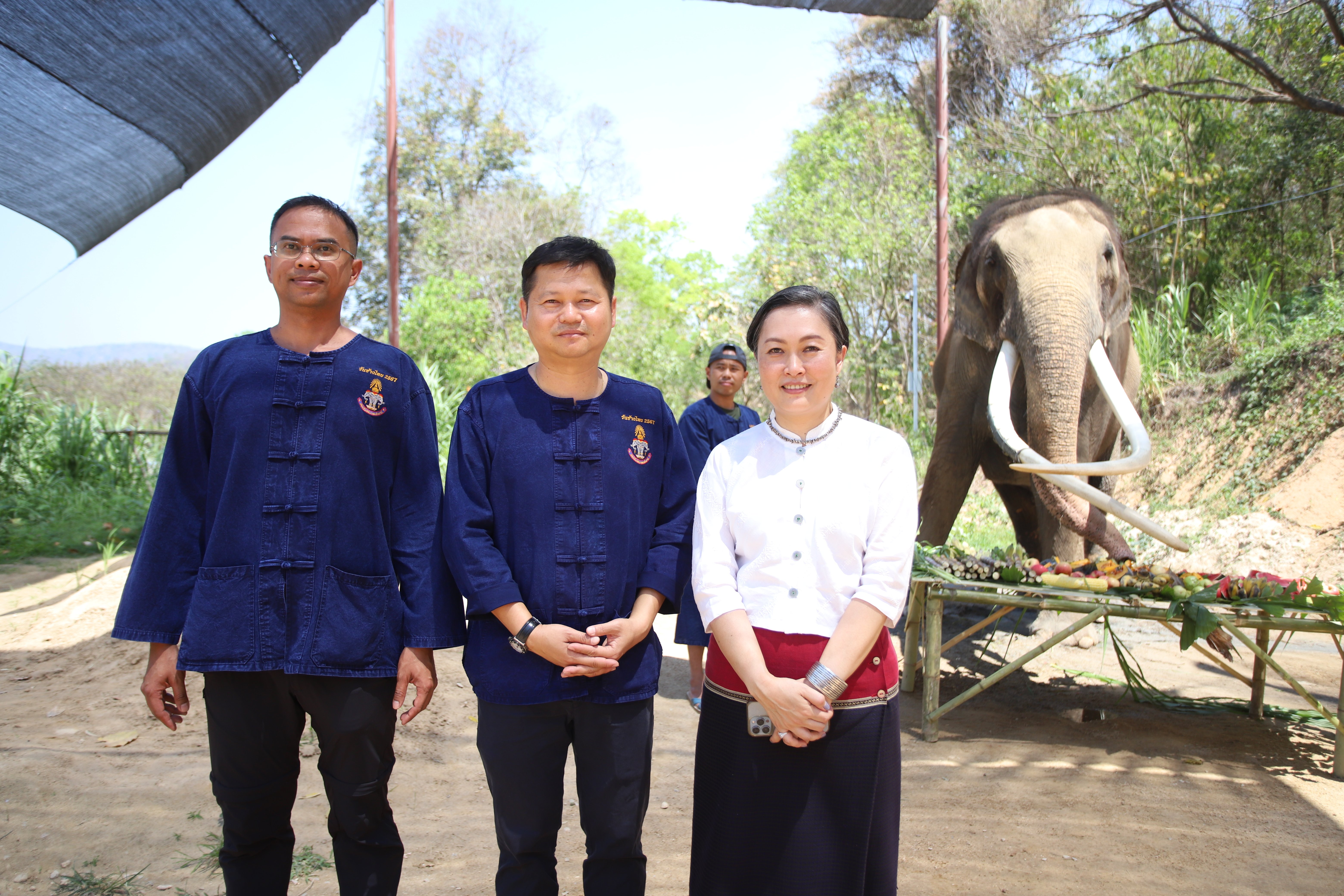 สคช. หนุนยกระดับทักษะควาญช้างตามมาตรฐานอาชีพ รับมือเหตุการณ์วิกฤต