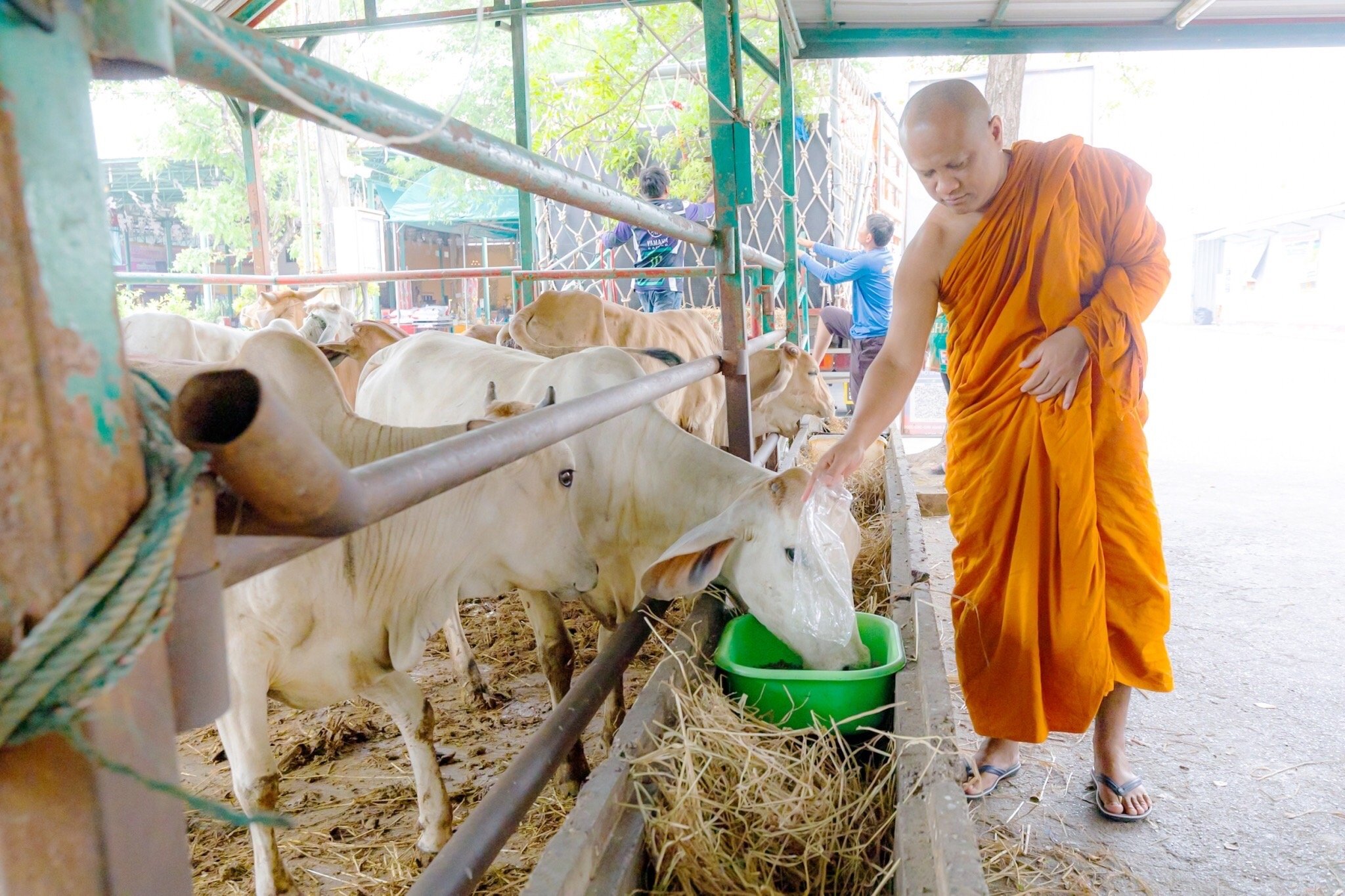 ชาวพุทธปลื้ม ต้นแบบพระสงฆ์รุ่นใหม่ "พระเทียนชัย ชยทีโป" เจ้าอาวาส วัดเทพสรธรรมาราม 