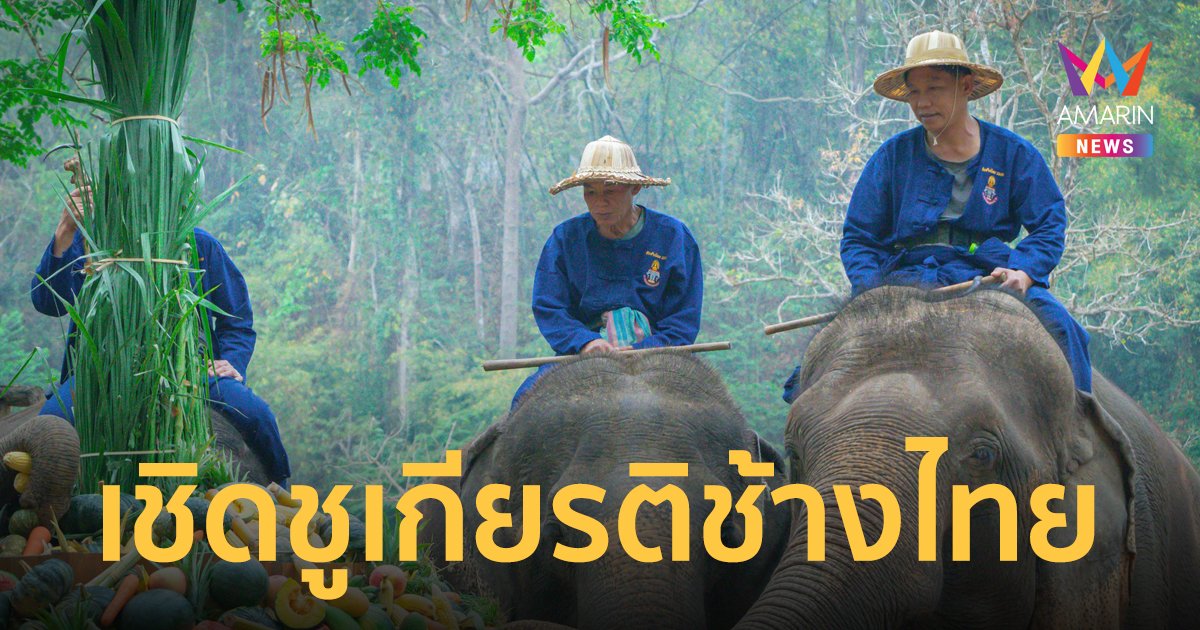 “13 มีนาคม วันช้างไทย” อนุรักษ์ช้างไทย “สร้างคุณค่า เชิดชูเกียรติช้างไทย”