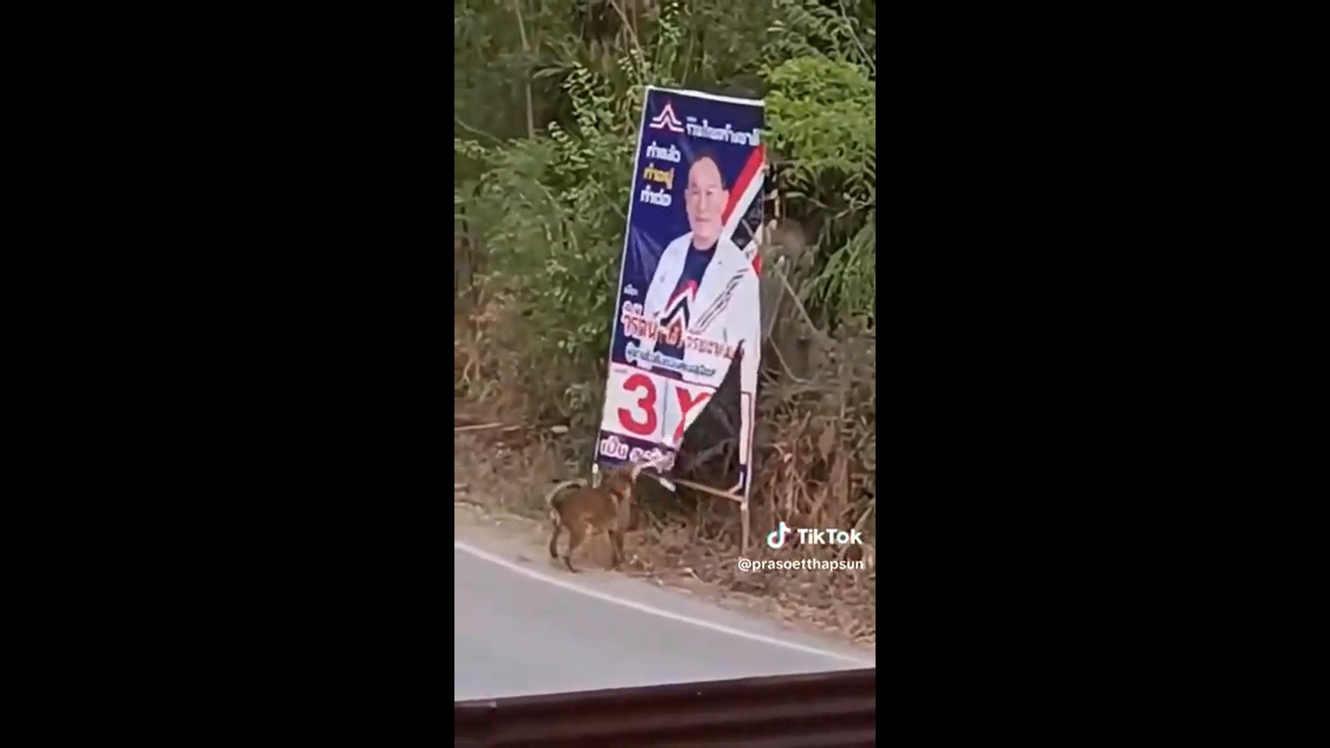 พบตัวการ ทำลายป้ายหาเสียงพรรคลุงตู่ !!!
