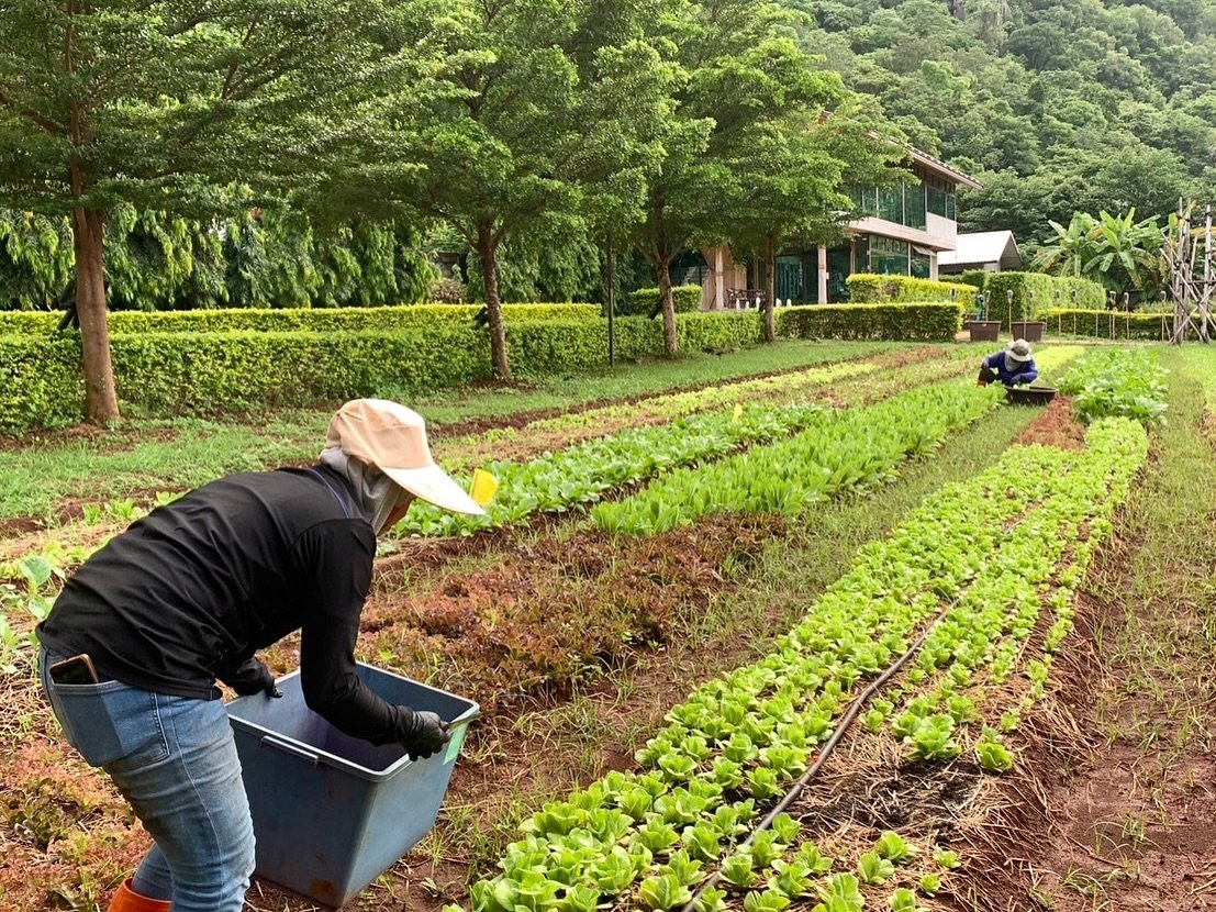 “Wenzel Organic Farm Khao Yai” คว้ารางวัลสาขา Star Business