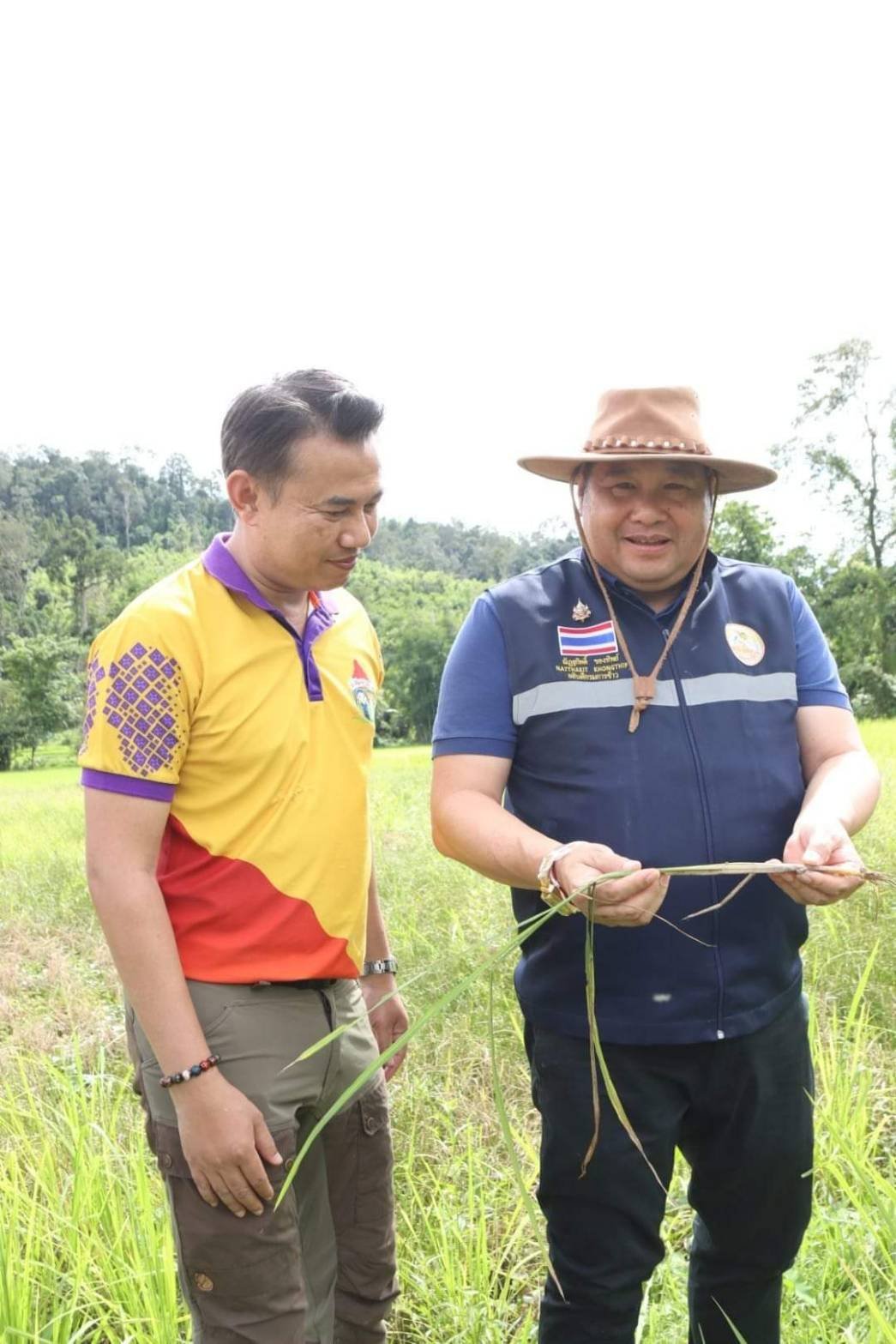 อธิบดีนำทีมลงสังขละบุรี เร่งแก้ปัญหา "เพลี้ยกระโดดสีน้ำตาลและเพลี้ยหลังขาว" พร้อมมอบสารกำจัดให้พี่น้องชาวนา