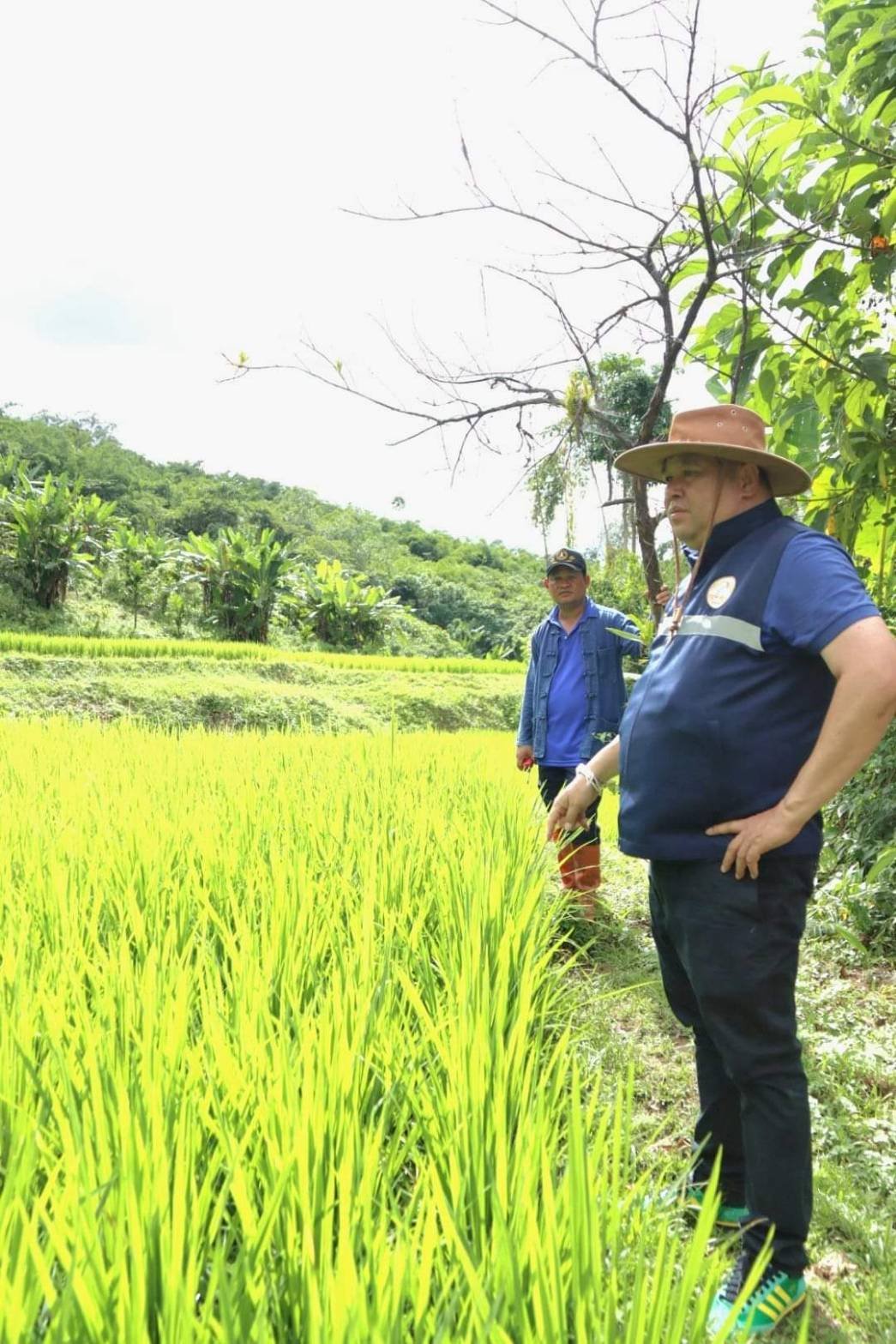 อธิบดีนำทีมลงสังขละบุรี เร่งแก้ปัญหา "เพลี้ยกระโดดสีน้ำตาลและเพลี้ยหลังขาว" พร้อมมอบสารกำจัดให้พี่น้องชาวนา