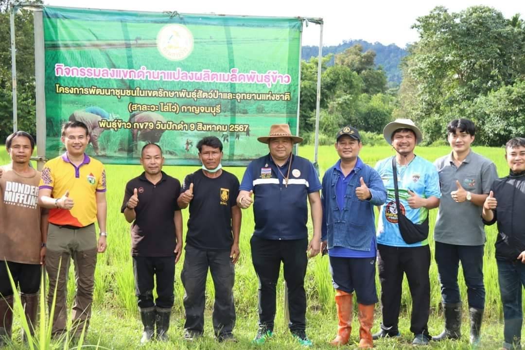 อธิบดีนำทีมลงสังขละบุรี เร่งแก้ปัญหา "เพลี้ยกระโดดสีน้ำตาลและเพลี้ยหลังขาว" พร้อมมอบสารกำจัดให้พี่น้องชาวนา