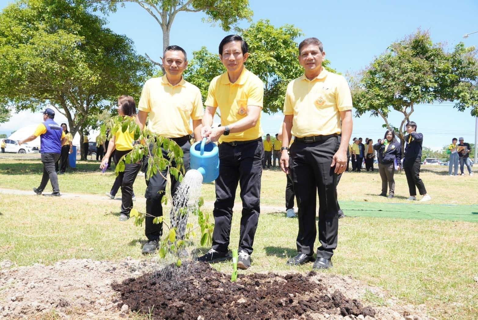 สพด. นครศรีธรรมราช มุ่งขยายการรับรู้ หญ้าแฝกเฉลิมพระเกียรติฯ