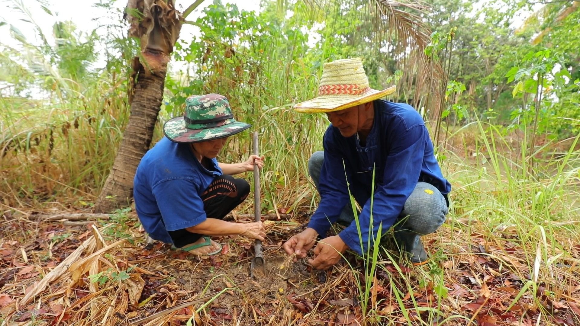 ส.ป.ก. เตรียมจัดกิจกรรมที่เกิดประโยชน์กับเกษตรกร เพื่อเฉลิมพระเกียรติพระบาทสมเด็จพระเจ้าอยู่หัวอย่างยิ่งใหญ่ตลอดทั้งปี