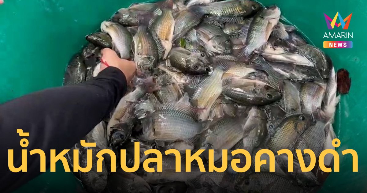 กรมพัฒนาที่ดิน ผลักดัน “น้ำหมักชีวภาพปลาหมอคางดำ” พร้อมสร้างการรับรู้