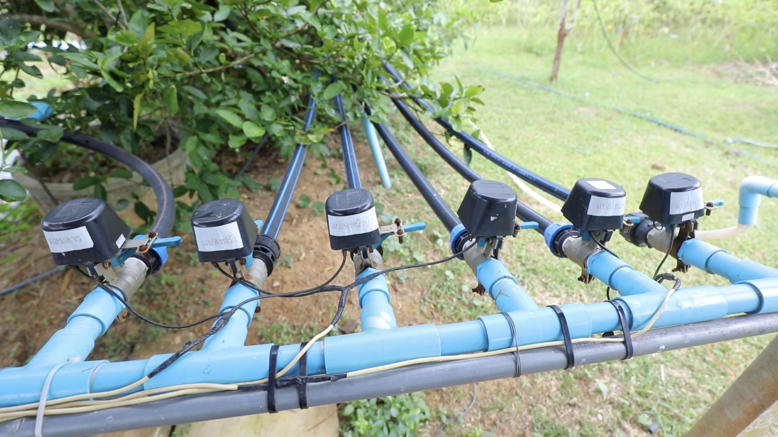 สร้างระบบ SMART FARM IOT สู่การเกษตรอัจฉริยะ อย่างยั่งยืน