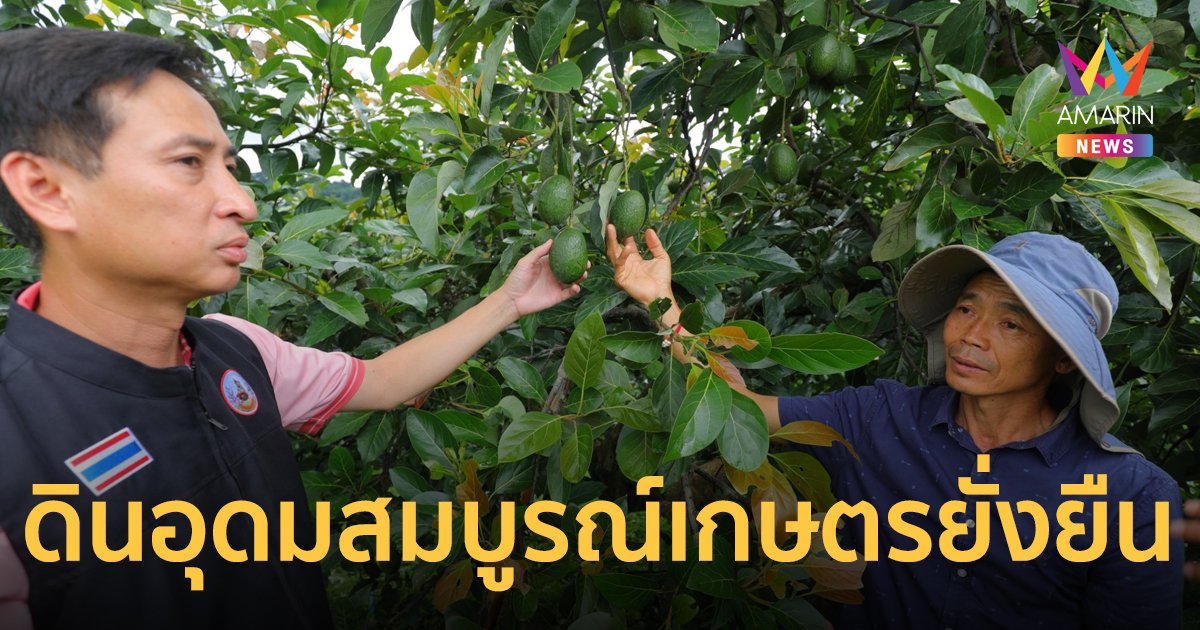 อะโวคาโดเด็ด กาแฟคุณภาพ ดินอุดมสมบูรณ์ สู่การเกษตรอย่างยั่งยืน