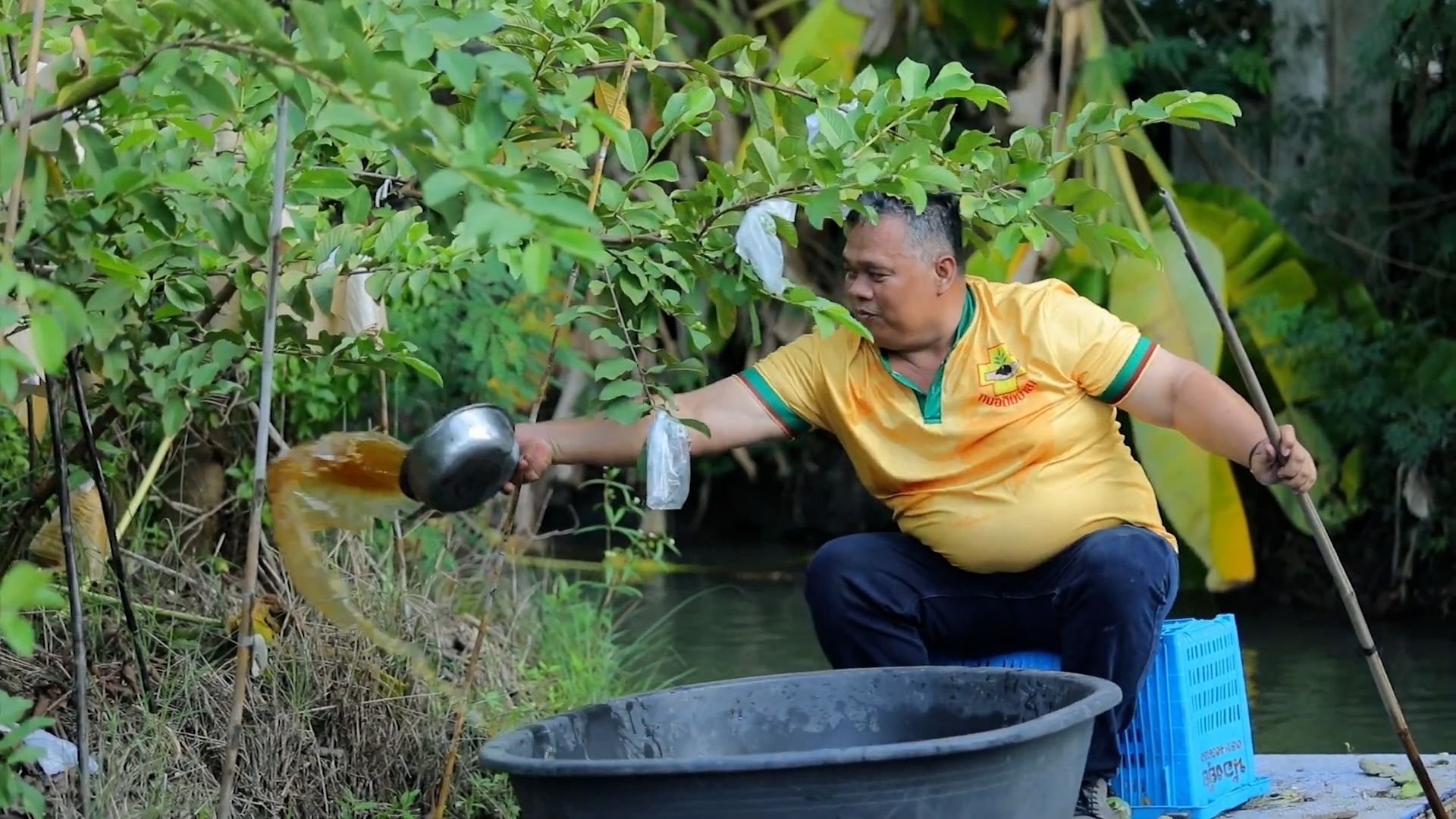 พด. ผลักดันการแก้ไขปัญหาการแพร่ระบาดปลาหมอคางดำ เพิ่มผลผลิต รักษาระบบนิเวศ อย่างมีประสิทธิภาพ