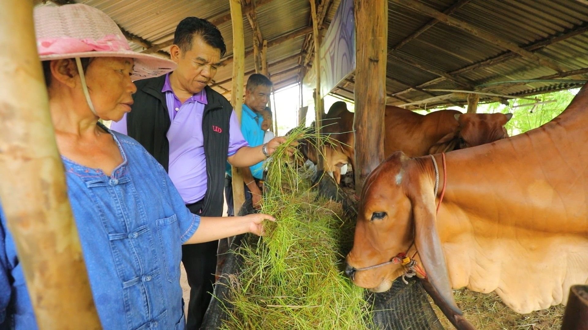 กองนโยบายและแผนการใช้ที่ดิน กรมพัฒนาที่ดิน เร่งบริหารจัดการเชิงรุกพื้นที่เกษตรกรรม Zoning by Agri-Map