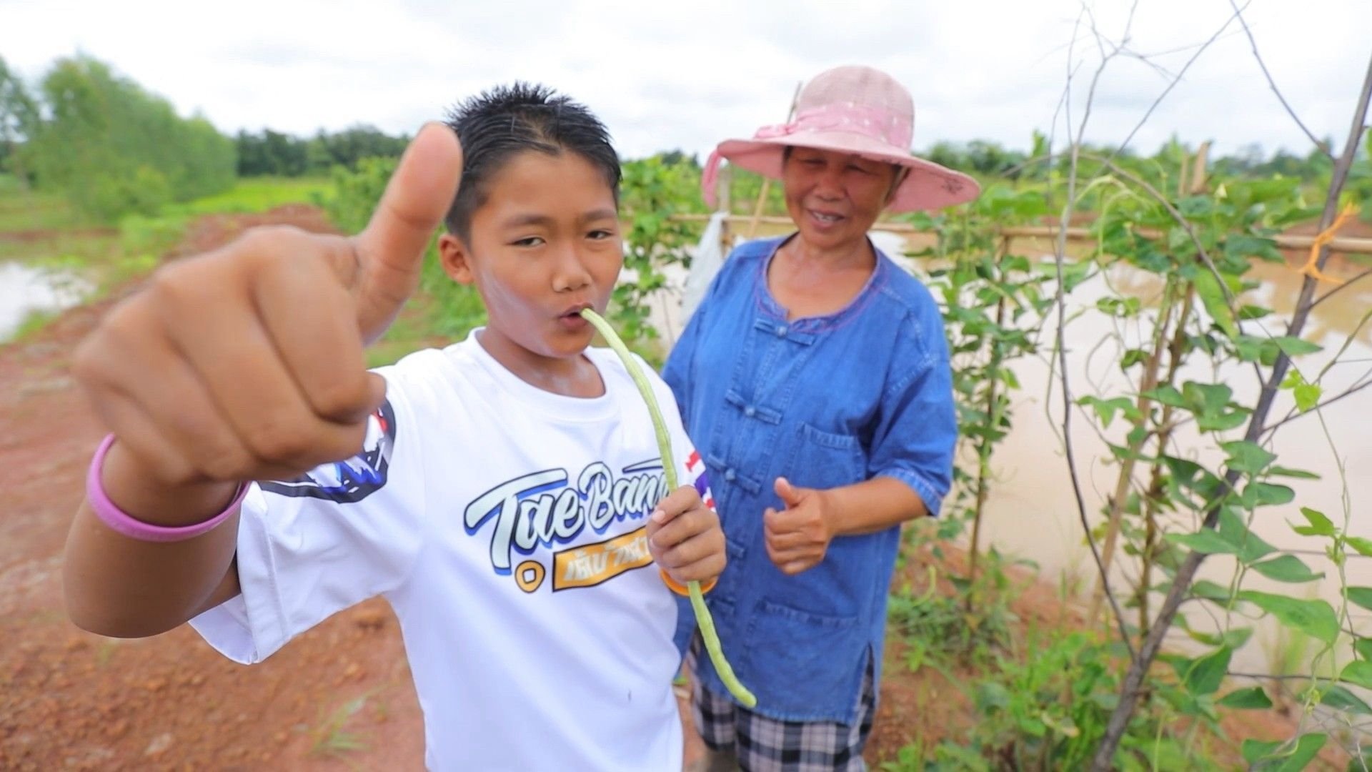 กองนโยบายและแผนการใช้ที่ดิน กรมพัฒนาที่ดิน เร่งบริหารจัดการเชิงรุกพื้นที่เกษตรกรรม Zoning by Agri-Mapกองนโยบายและแผนการใช้ที่ดิน กรมพัฒนาที่ดิน เร่งบริหารจัดการเชิงรุกพื้นที่เกษตรกรรม Zoning by Agri-Map