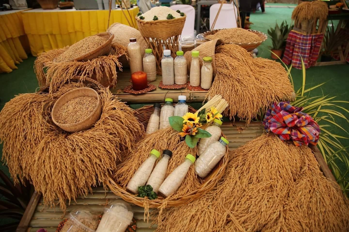 "ธรรมนัส" เปิดงาน "เทศกาลข้าวหอมมะลิโลก 2566" มุ่งเชื่อมตลาดในและต่างประเทศ