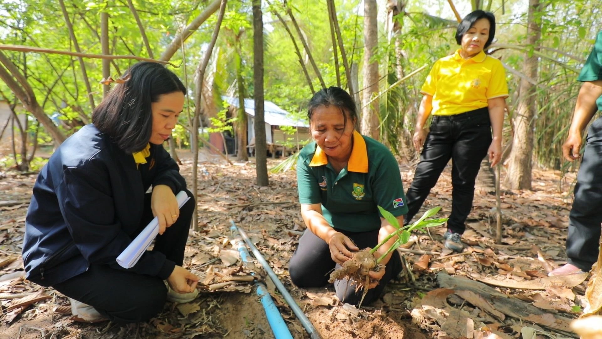 ผลิตภัณฑ์ปลอดภัย สมุนไพรหนองแซง พัฒนาชุมชน สร้างงาน สร้างรายได้