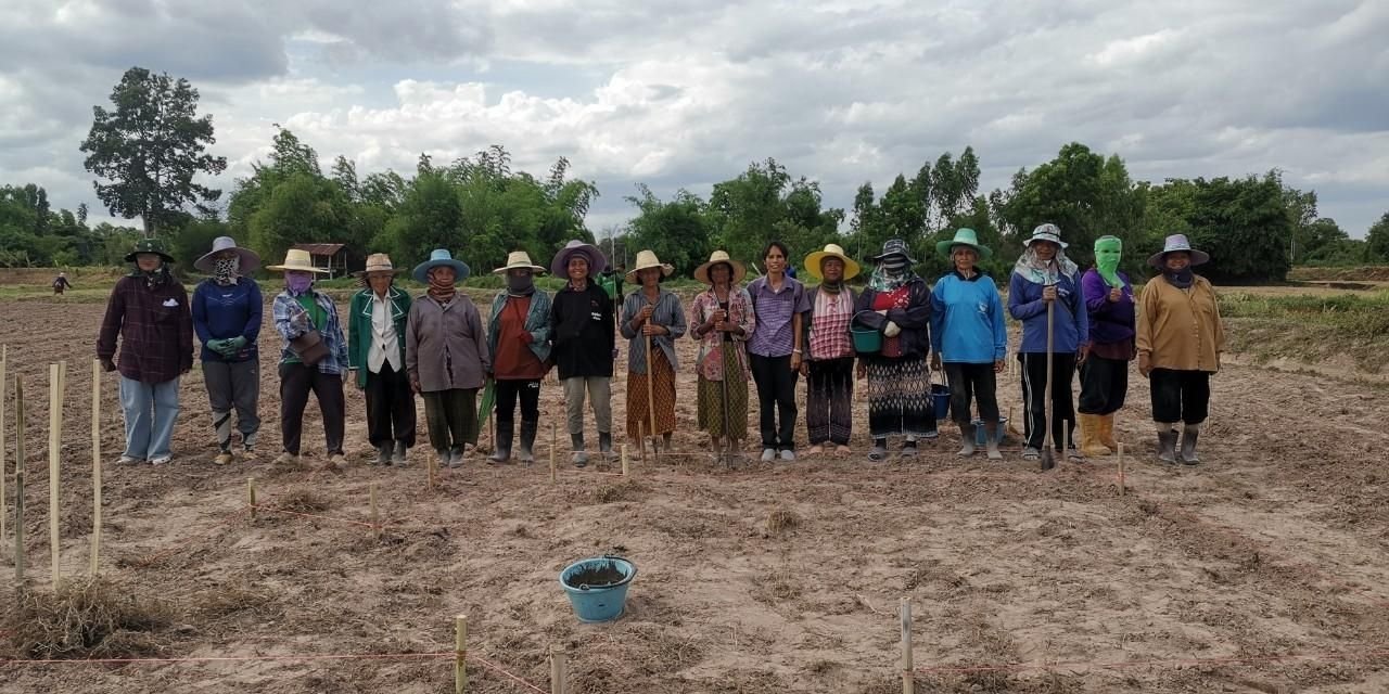 "กรมการข้าว" เทิดไท้ 72 พรรษา สู่ผืนนาพิศาลศิลป์