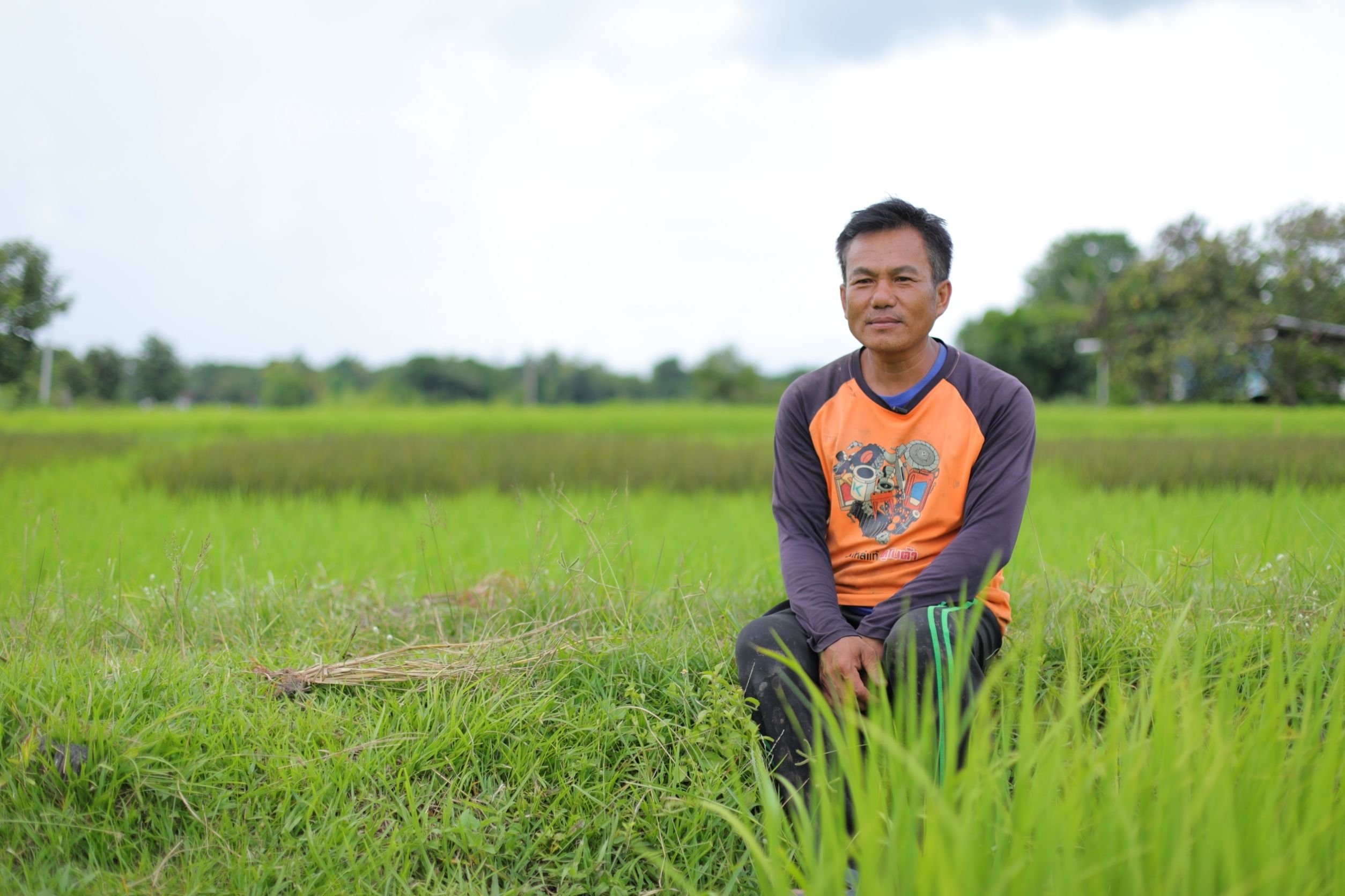 "กรมการข้าว" เทิดไท้ 72 พรรษา สู่ผืนนาพิศาลศิลป์