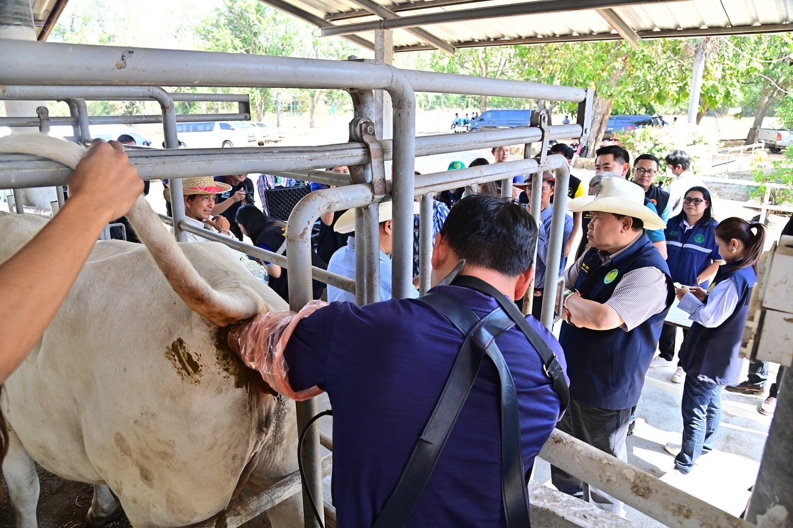 รมช.ไชยา มอบหมาย อ.ส.ค. ผลิตหลัก เร่งสร้าง Smart Farmer เลี้ยงปศุสัตว์ส่งออก