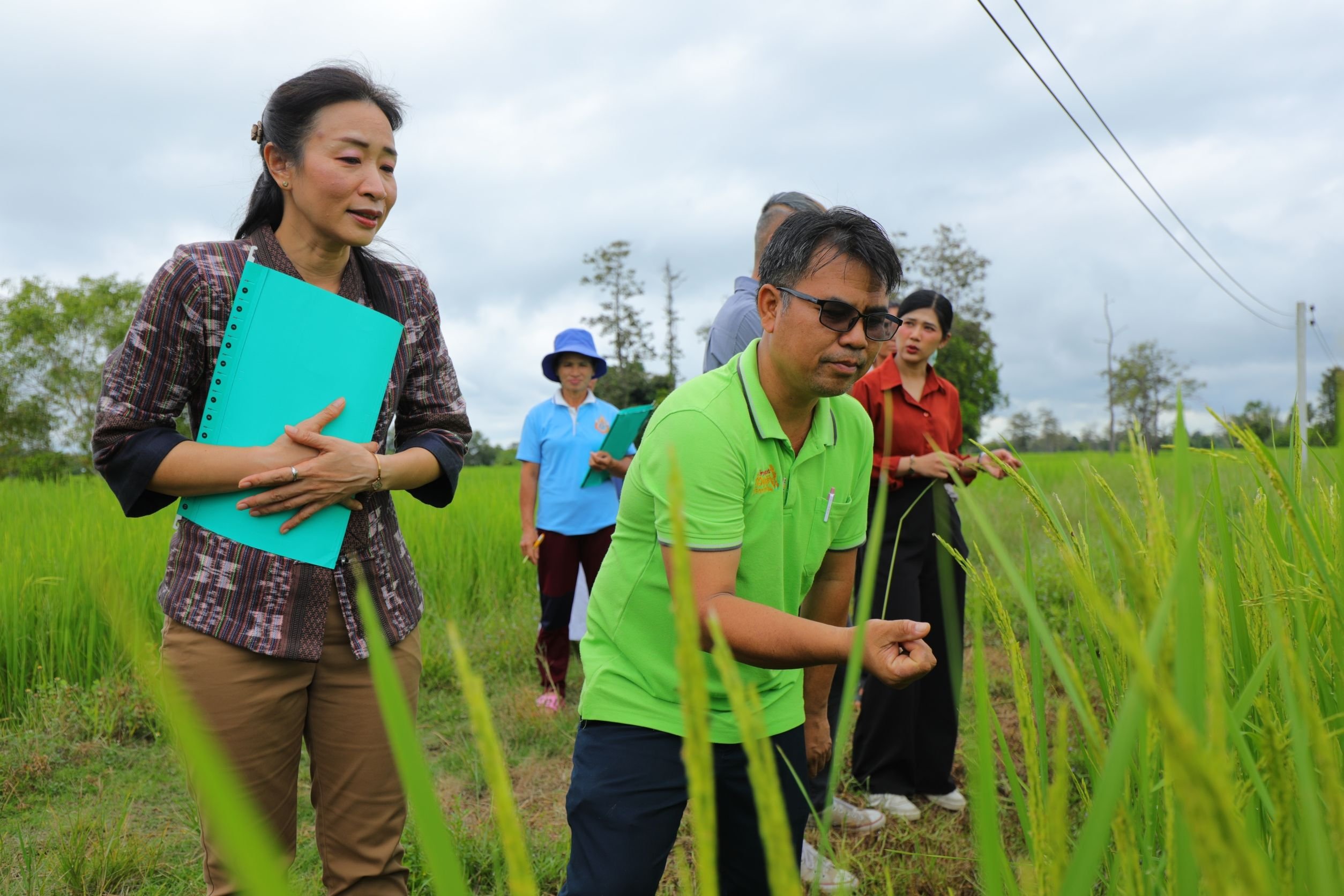 กรมการข้าวส่งต่อการรับรองมาตรฐาน กลุ่มศรีสะเกษออร์แกนิคอินเตอร์ไรซ์ (Sisaket Organic Inter Rice)