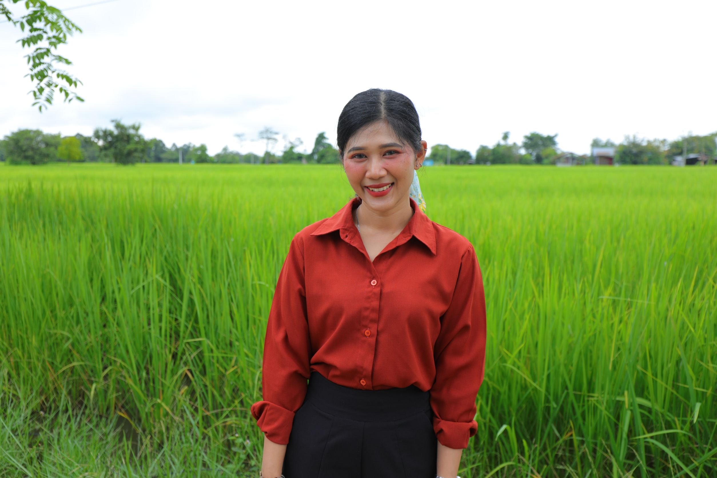 กรมการข้าวส่งต่อการรับรองมาตรฐาน กลุ่มศรีสะเกษออร์แกนิคอินเตอร์ไรซ์ (Sisaket Organic Inter Rice)