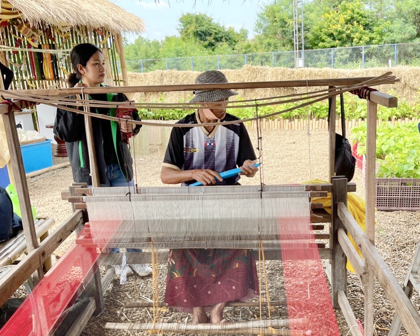 กรมหม่อนไหมเตรียมโชว์วิถีหม่อนไหม อวดความเป็นไทย