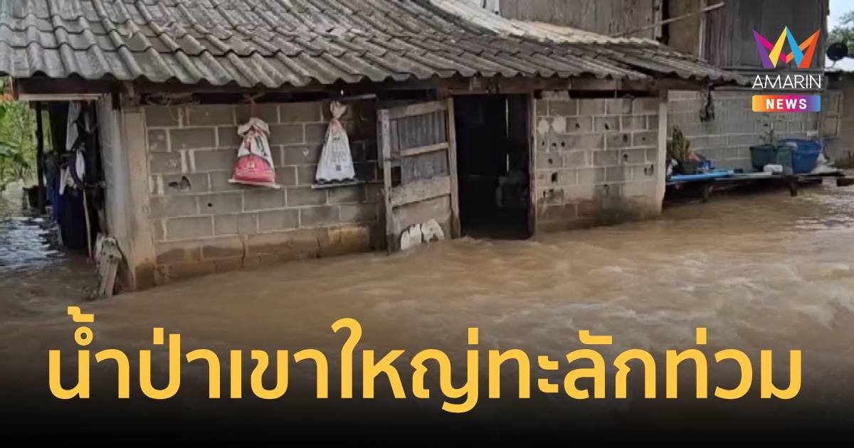 ฝนตกหนัก! น้ำป่าเขาใหญ่ไหลทะลักท่วมบ้านเรือน ปชช.