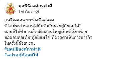 ศูนย์อนุรักษ์ช้าง